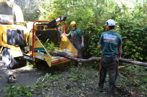 tree services Loma